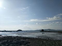 -青岛海滨风景区
