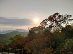 -野狸岛