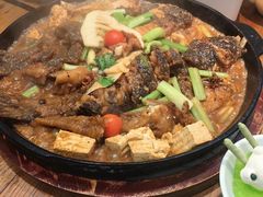 -老板恋上鱼(印象城店)