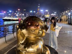 -星光大道