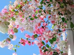 -深圳国际园林花卉博览园