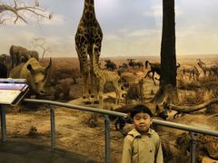 -上海科技馆(地铁站)