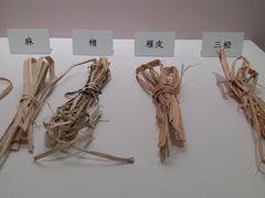 -上海油画雕塑院