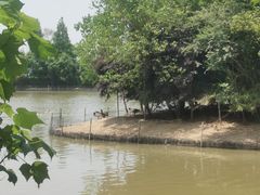 -艾溪湖湿地公园