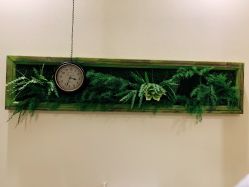 -芳朵美容养生SPA