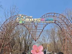 -长白岛森林公园