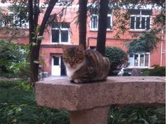 -上海外国语大学(虹口校区)