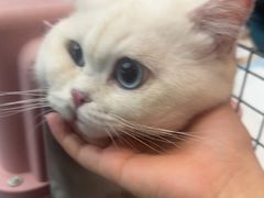 -联合动物医院(光谷诊疗中心)