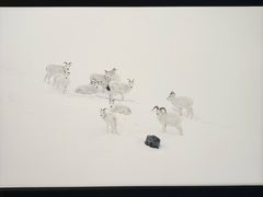 -罗红摄影艺术馆