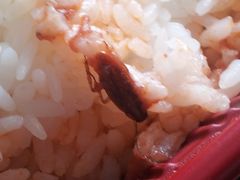 -大圆碗•T骨大排饭(永安道店)