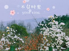 -龙寺生态园