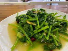 清炒野菜-樱桃创意厨房