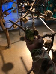 -酷嗒动物文化乐园(cutezoo西溪乐天城店)