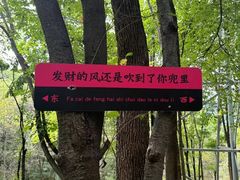 -帽儿山风景区