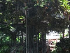 -江天生态园餐厅