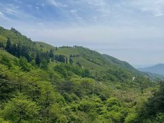 -东白山