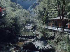 -宁波五龙潭景区