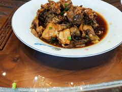 -丽苑大酒店