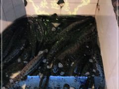 -湘芙蓉·湖南菜(椒江店)