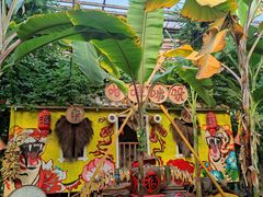 -呀路古热带植物园