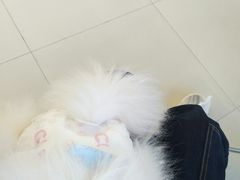 -怪兽屋·羊驼·猫咖·狗咖(俊华广场店)