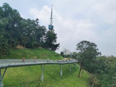 -广州雕塑公园