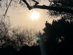 -无锡梅园公园