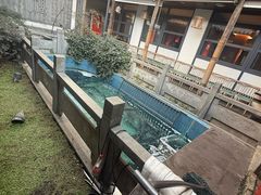 -鱼头泡饭·湖北菜·非物质文化遗产(岳家嘴总店)