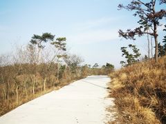 -恋山坝上草原