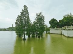 -顺峰山公园