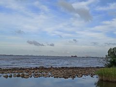 -上海吴淞炮台湾国家湿地公园