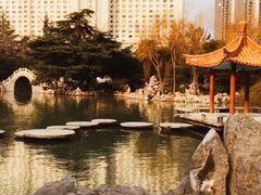 -西苑公园