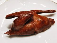 光明卤鸽-陈鹏鹏潮汕菜(欢乐海岸 海边景观店)