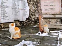 -慕田峪长城