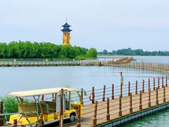 -溱湖国家湿地公园