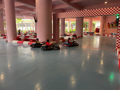 -灵玲国际马戏城