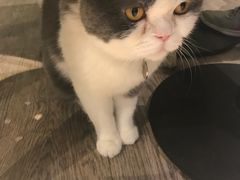 -小时光咖啡馆(开森度假森林店)