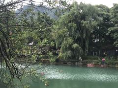 -花溪公园