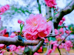 -元大都城垣遗址公园