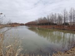 -东滩湿地公园观海楼餐厅