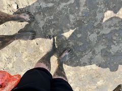 -启东黄金海滩景区