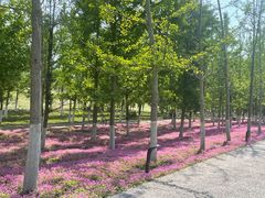 -汉长安城未央宫国家考古遗址公园