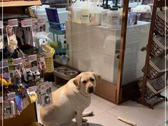 -FAELING PETS美天灵宠物(富力广场店)