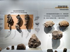-湖南省地质博物馆