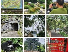 -龟山风景区-龟山电视塔