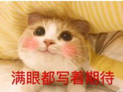 -必胜客(威高广场店)