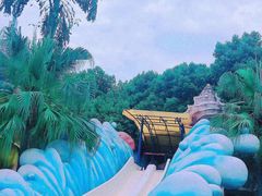 -重庆海昌加勒比海水世界