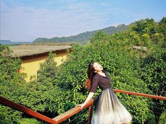 -杭州开元森泊度假乐园