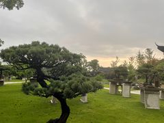 -江心屿景区