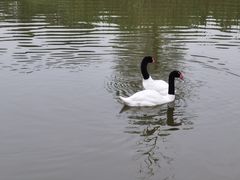 -宁波杭州湾国家湿地公园